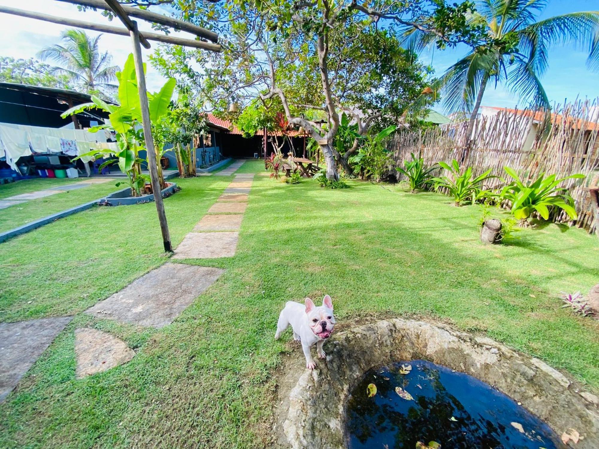 Ricatins Bed and Breakfast Buitenkant foto
